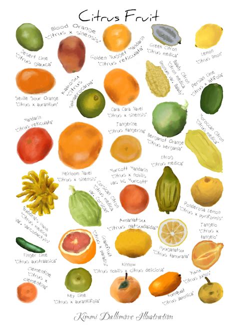 Nectar Frutlu Profiles .